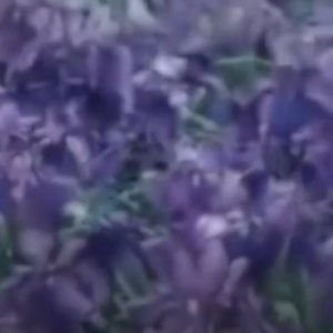 デザインの 的头像