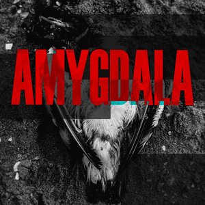 Amygdala