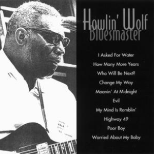 Bluesmaster cover