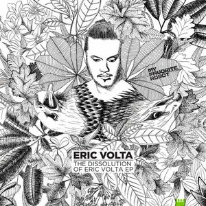 The Dissolution of Eric Volta EP