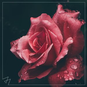 Madilyn Bailey - Too Good At Goodbyes Lyrics - Zortam Music