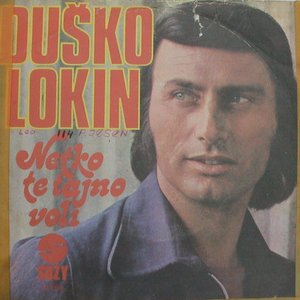dusko lokin 的头像