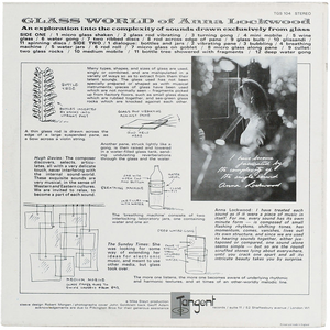 The Glass World cover