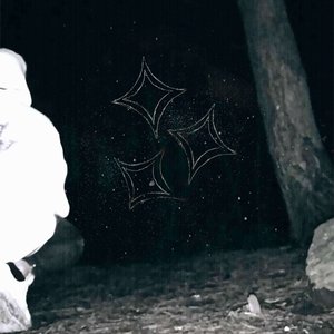 faidev ✧ 的头像