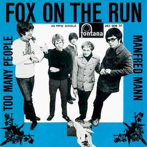Fox On The Run / Too Many People