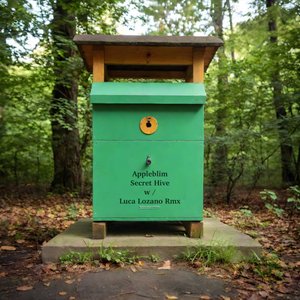 Secret Hive
