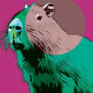Capybara