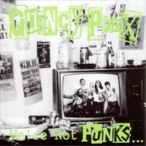 We're Not Punks... but We Play Them on TV cover