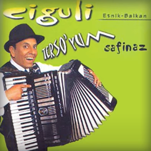 Terso'yum Safinaz cover