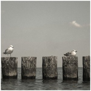 The Fisherman and the Seagull - Single