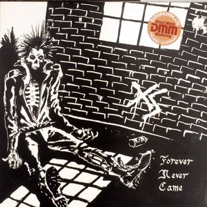 Forever Never Came (1984)