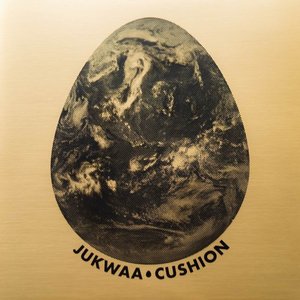 Cushion