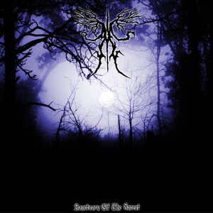 Sanctuary Of The Forest