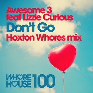 Don't Go (feat. Lizzie Curious) [Hoxton Whores Remix]