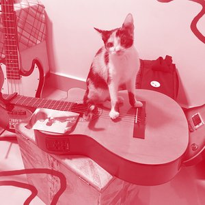 Avatar for Final De Tarde