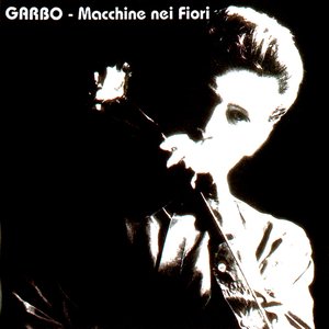 Macchine nei fiori
