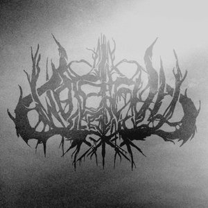 Woeful Silence 的头像