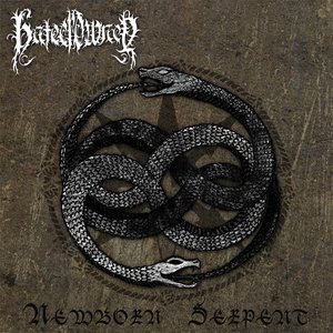 Newborn Serpent