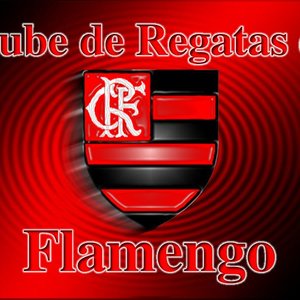 Image for 'C.R.Flamengo'
