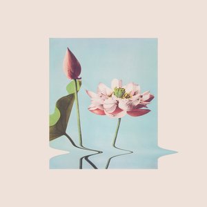 For Flowers