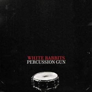 Percussion Gun