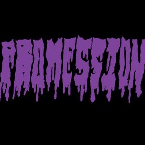 Promession 的头像