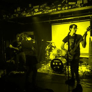 Domesticated 的头像
