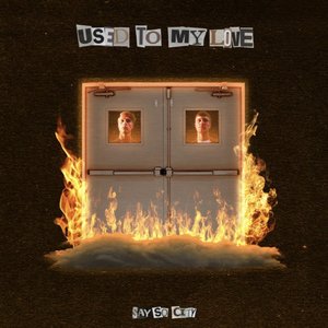 Used to My Love - Single