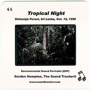 Tropical Night