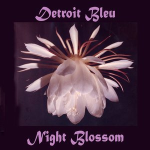 Night Blossom