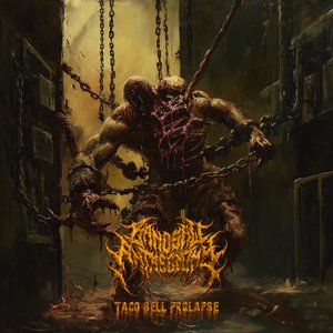 Taco Bell Prolapse [Explicit]