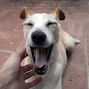 L'anima è come l'acqua (feat. Ivan Cammarata & San Fabio Soregaroli)