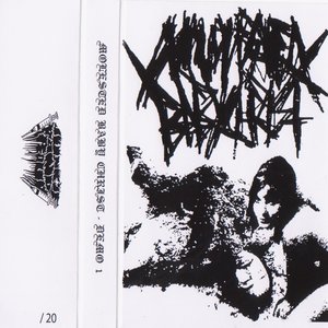 Demo 1