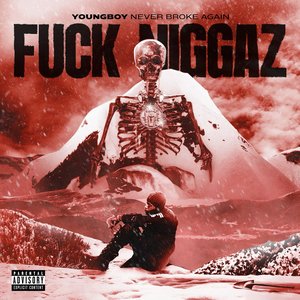 Fuck Niggaz - Single