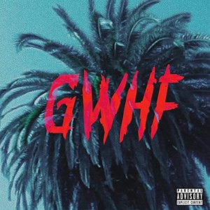 Gwhf (Girls Wanna Have Fun)