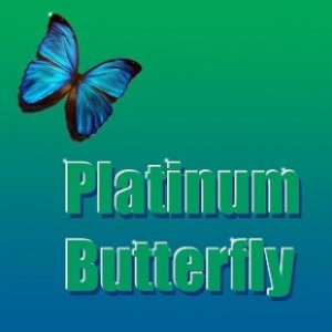 Platinum Butterfly 的头像