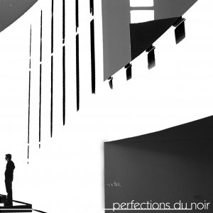 Perfections du Noir
