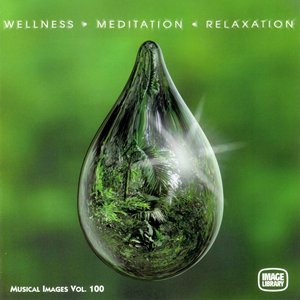 Wellness Meditation Relaxation: Musical Images, Vol. 100