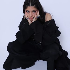 Shibui 的头像