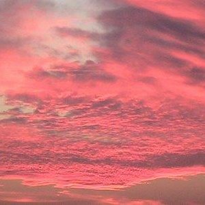 Pink Illusion 的头像