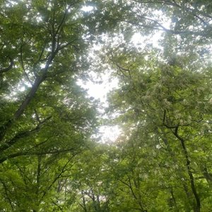 Made In a Dream - Single