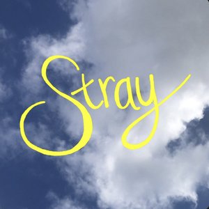 Stray - Single