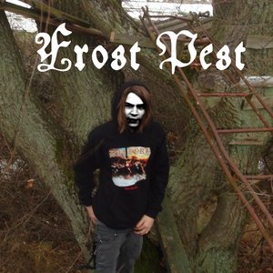 Frost Pest 的头像