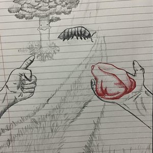 Rhiannan, I Have Grown