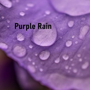 Purple Rain