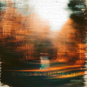 Dying Evergreen