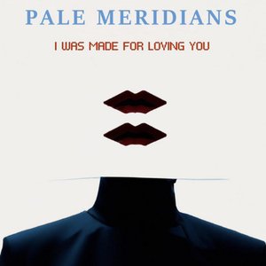I Was Made For Loving You