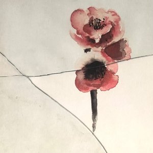 the unfolding rose {petal two}