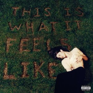 This Is What It Feels Like [Explicit]