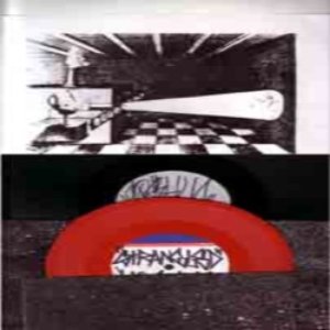 Camera Obscura